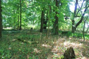 Gutsfriedhof Ruhlsdorf Lost Place 2022