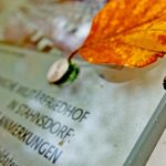 Südwestfriedhof Herbst Soldatengräber